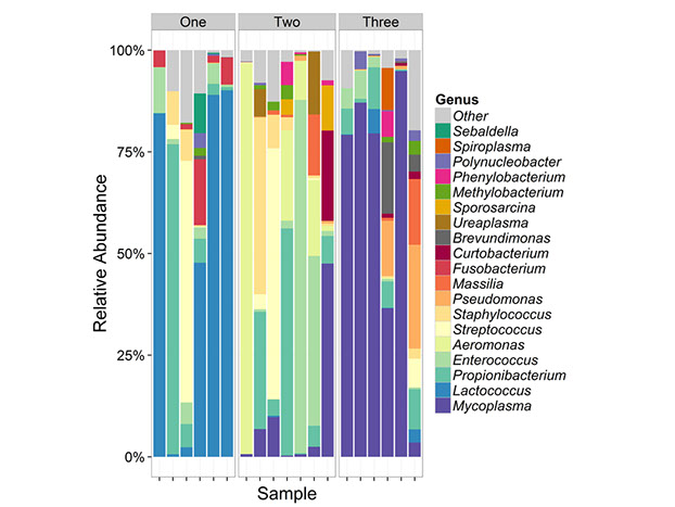 Relative Abundances Bar plot illustrating relative abundances of top 20 most dominant bacterial genera across groups and samples.